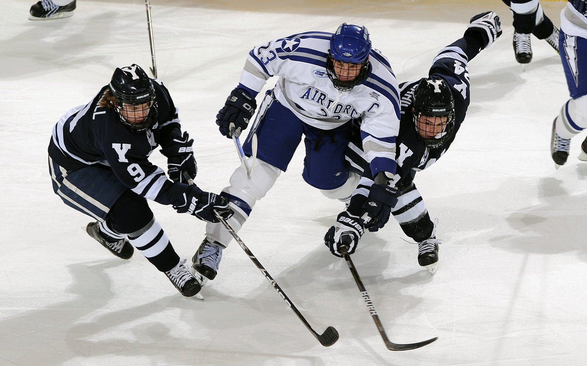 爱游戏体育（AYX）官方APP下载-黄蜂球队战术多样化成效明显，黄蜂球队以前叫什么
