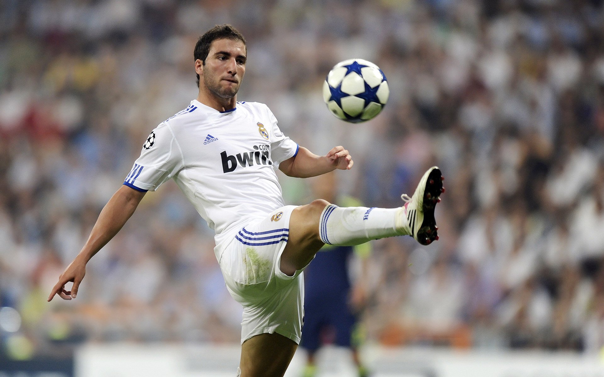 爱游戏体育平台-_骑士队年轻核心持续发光，未来可期_，骑士队介绍